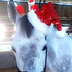 Haras des Estinnes Asbl, openingstijden