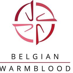 Bwp, Oud-Heverlee openingstijden