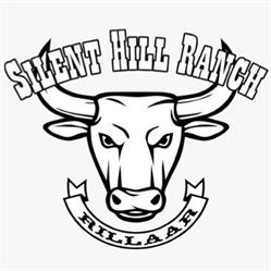 Silent Hill Ranch - Ranch Equipment, Rillaar openingstijden