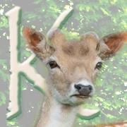 't Kapelhof, Beauvoorde openingstijden