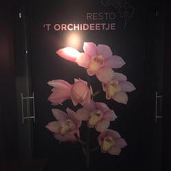 Resto Het Orchideetje, Zottegem openingstijden