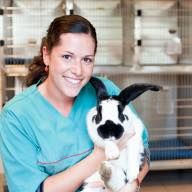 Dierenartsenpraktijk Lindehof, Schoten openingstijden