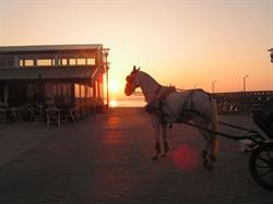 Bistro Zee Zee, Blankenberge openingstijden