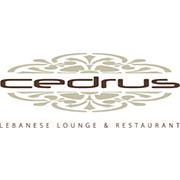 Cedrus, Brugge openingstijden
