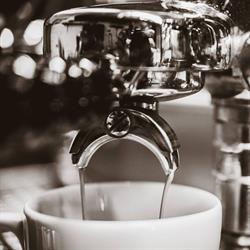 Koffeine, Gent openingstijden