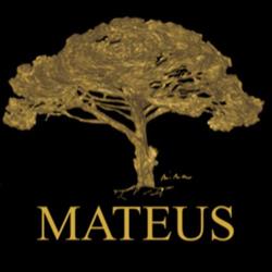 MATEUS, Nieuwpoort openingstijden
