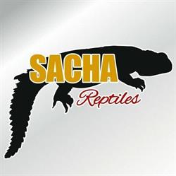 SACHA reptiles, Antwerpen openingstijden
