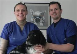 Dierenartsen Baert Holsters, Wetteren openingstijden