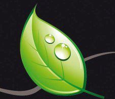 Over The Hedge Gardening, Deinze openingstijden