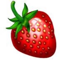 Aardbeien Vergeyle-Causyn, Ertvelde openingstijden