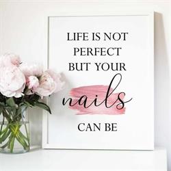 Kluizens Nagelhuisje - Evergem, openingstijden