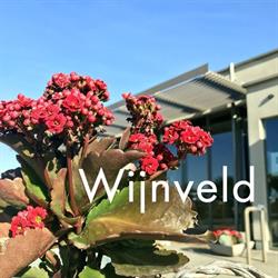Wijnveld, Leuven openingstijden