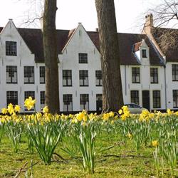 Vakantiehuis Brugge Centrum Kruitenberg 25, openingstijden