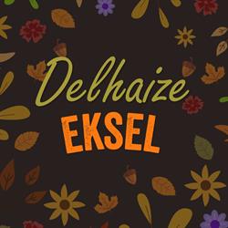Proxy Delhaize Eksel., openingstijden