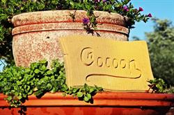Cnocoon, Knokke-Heist openingstijden