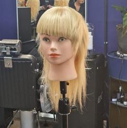 Hair Reborn, Asse openingstijden