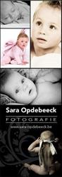 Fotografie Sara Opdebeeck, Hofstade openingstijden