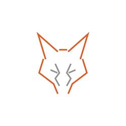 Vulpo Digital Studio, Wetteren openingstijden