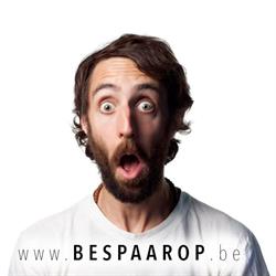 Bespaarop, Lochristi openingstijden