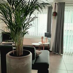 Vakantieappartement Sauvignon Oostende, openingstijden