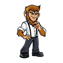 Bearded Monkey Barbershop, Peer openingstijden