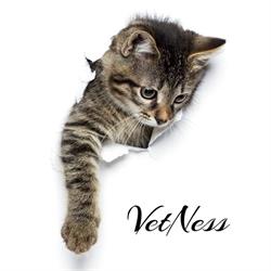 VetNess, Nessonvaux openingstijden