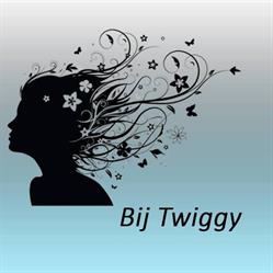Tkapstertje bij Twiggy, Blankenberge openingstijden
