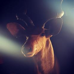 The Kudu Lodge Wortegem, openingstijden
