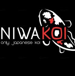 Niwa Koi, Hautrage openingstijden