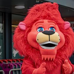 Buurtslagers in Proxy Delhaize Veerle, openingstijden