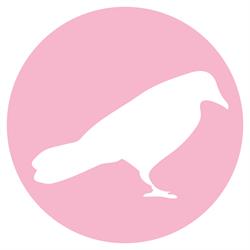 Witte Raven, Oostende openingstijden