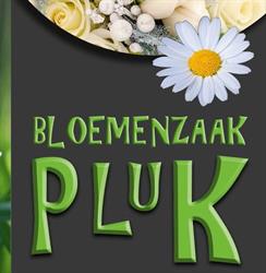 Pluk Wervik, openingstijden