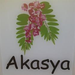 Akasya Koffiehuis, Zele openingstijden