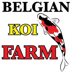 Belgian Koi Farm, Sart-Custinne openingstijden