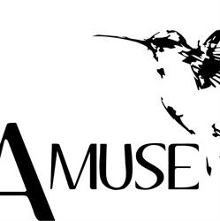 ArtAmuse, Hasselt openingstijden