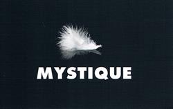 Mystique - Brakel, Nederbrakel openingstijden
