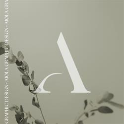 Aiola Graphic Design, Borgloon openingstijden