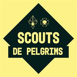 Scouts De Pelgrims, Groot-Bijgaarden openingstijden