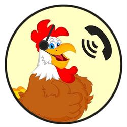 Chicken Phone Aalst, openingstijden