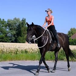 Cindy Deman Horsemanship, Leffinge openingstijden