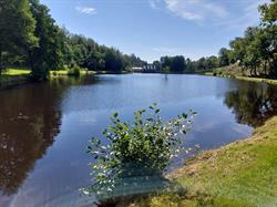 Le lac de Bellemeuse bistrot restaurant, Nadrin openingstijden