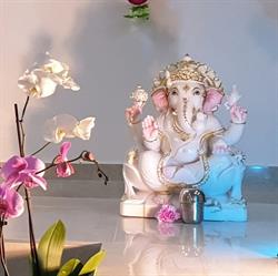 Brussels Mandir, Evere openingstijden