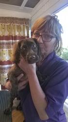 Aux Beaux Compagnons, Esneux openingstijden