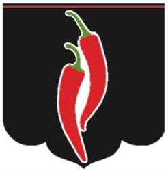 Delhi Masala, Borgerhout openingstijden