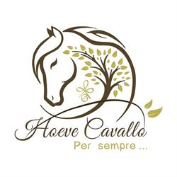 Hoeve Cavallo, Ruien openingstijden