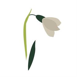 Bloemen Davina, Zolder openingstijden