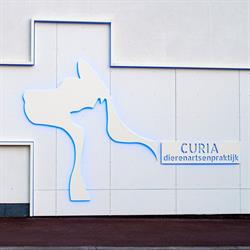 Dierenartsenpraktijk Curia, Merchtem openingstijden