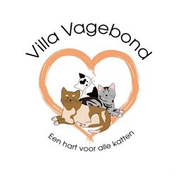 Villa Vagebond, Maaseik openingstijden