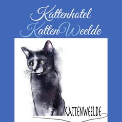 Kattenhotel Kattenweelde, Westerlo openingstijden