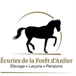Ecuries de la forêt d'Anlier, Habay openingstijden